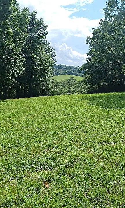 959 Herman Adams Road Cumberland City TN 37050
