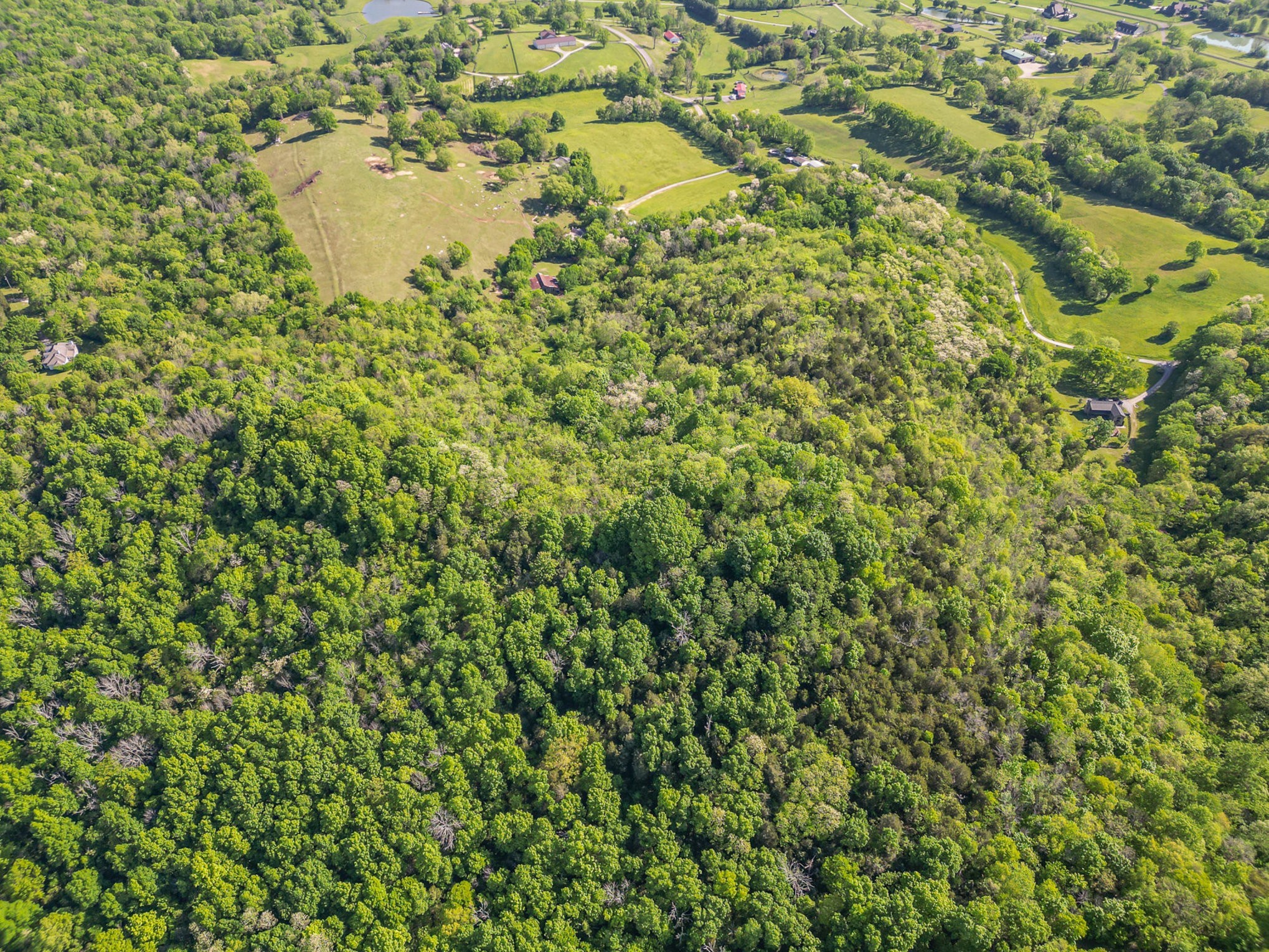 4481 Dyke Bennett Road Franklin TN 37064