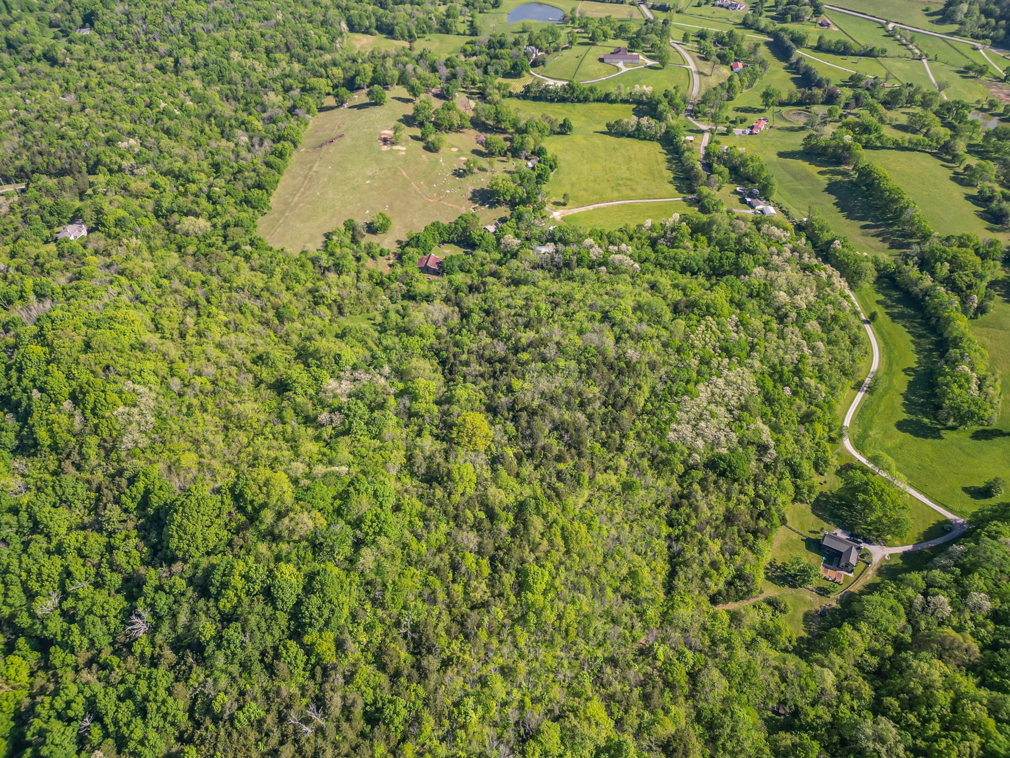 4481 Dyke Bennett Road Franklin TN 37064