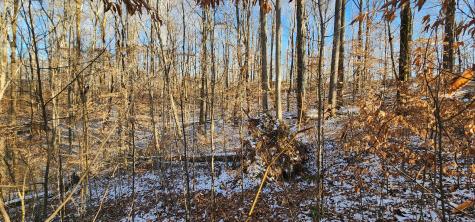 0 Crestview Drive Sparta TN 38583