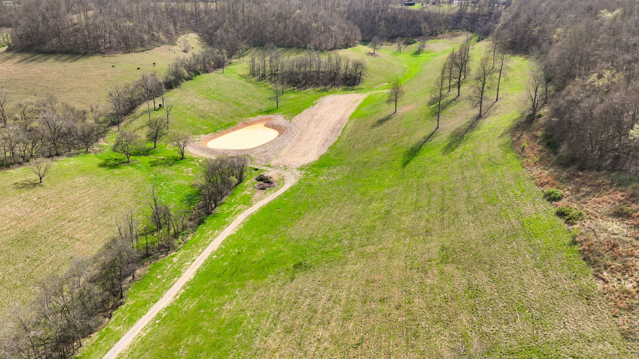 0 Mclaughlin Road Shelbyville TN 37160