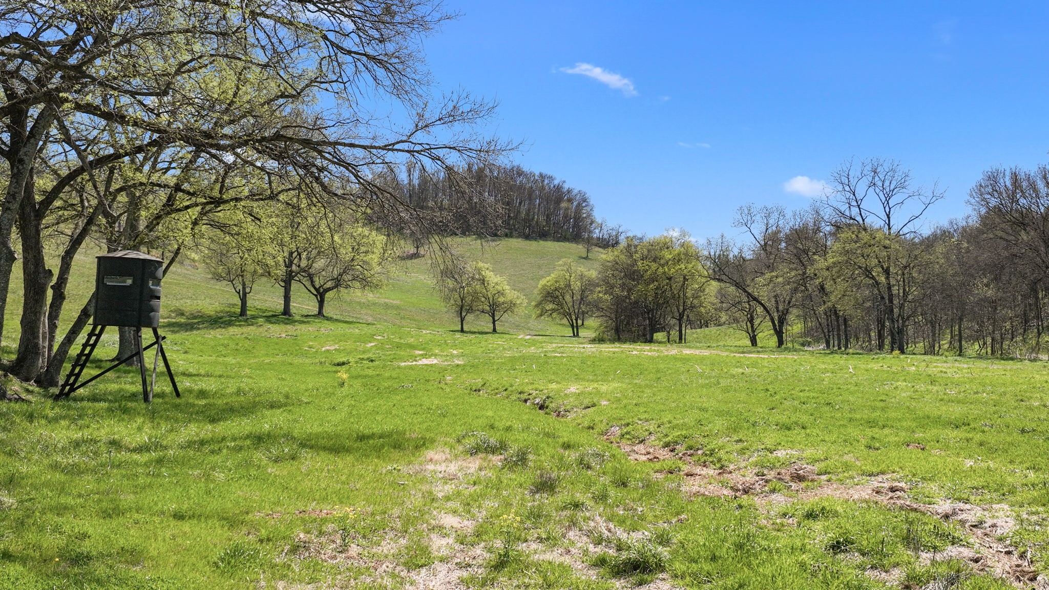 0 Mclaughlin Road Shelbyville TN 37160
