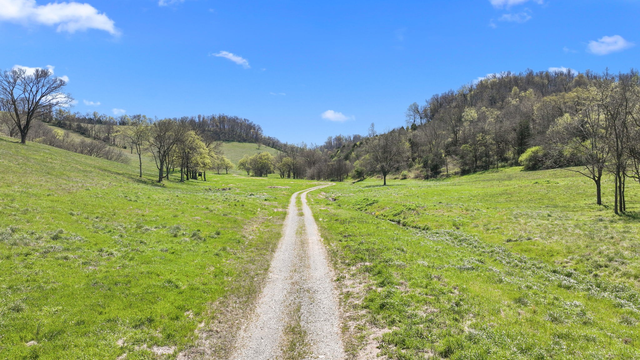 0 Mclaughlin Road Shelbyville TN 37160