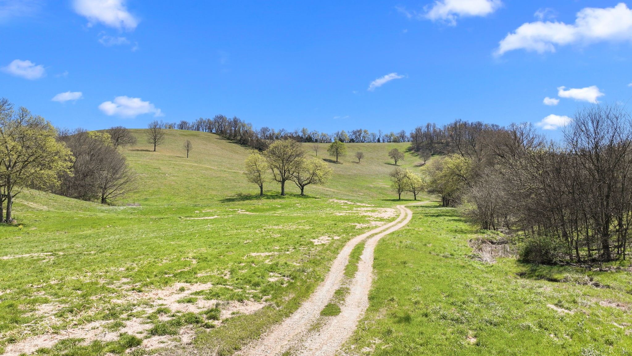 0 Mclaughlin Road Shelbyville TN 37160