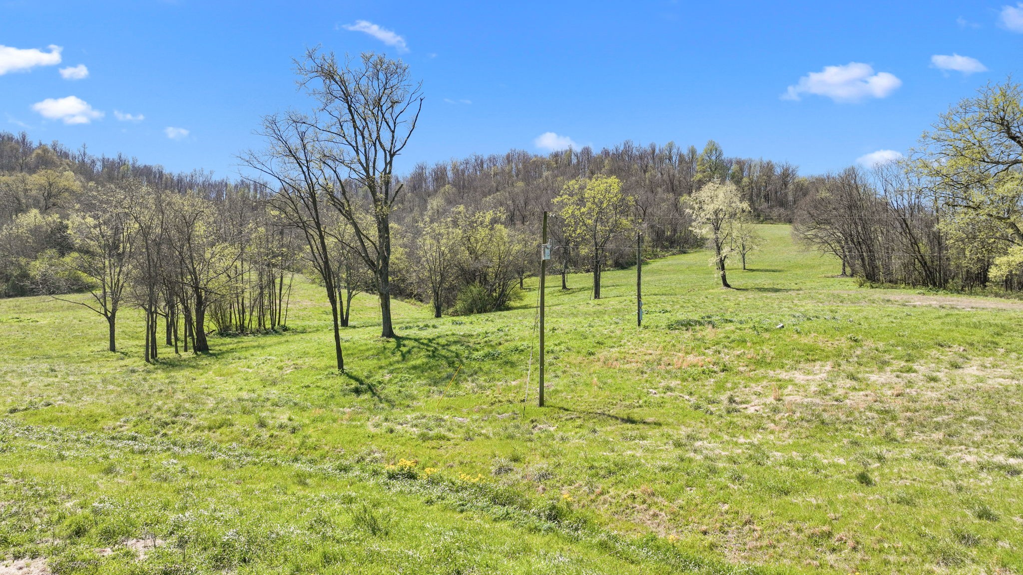 0 Mclaughlin Road Shelbyville TN 37160