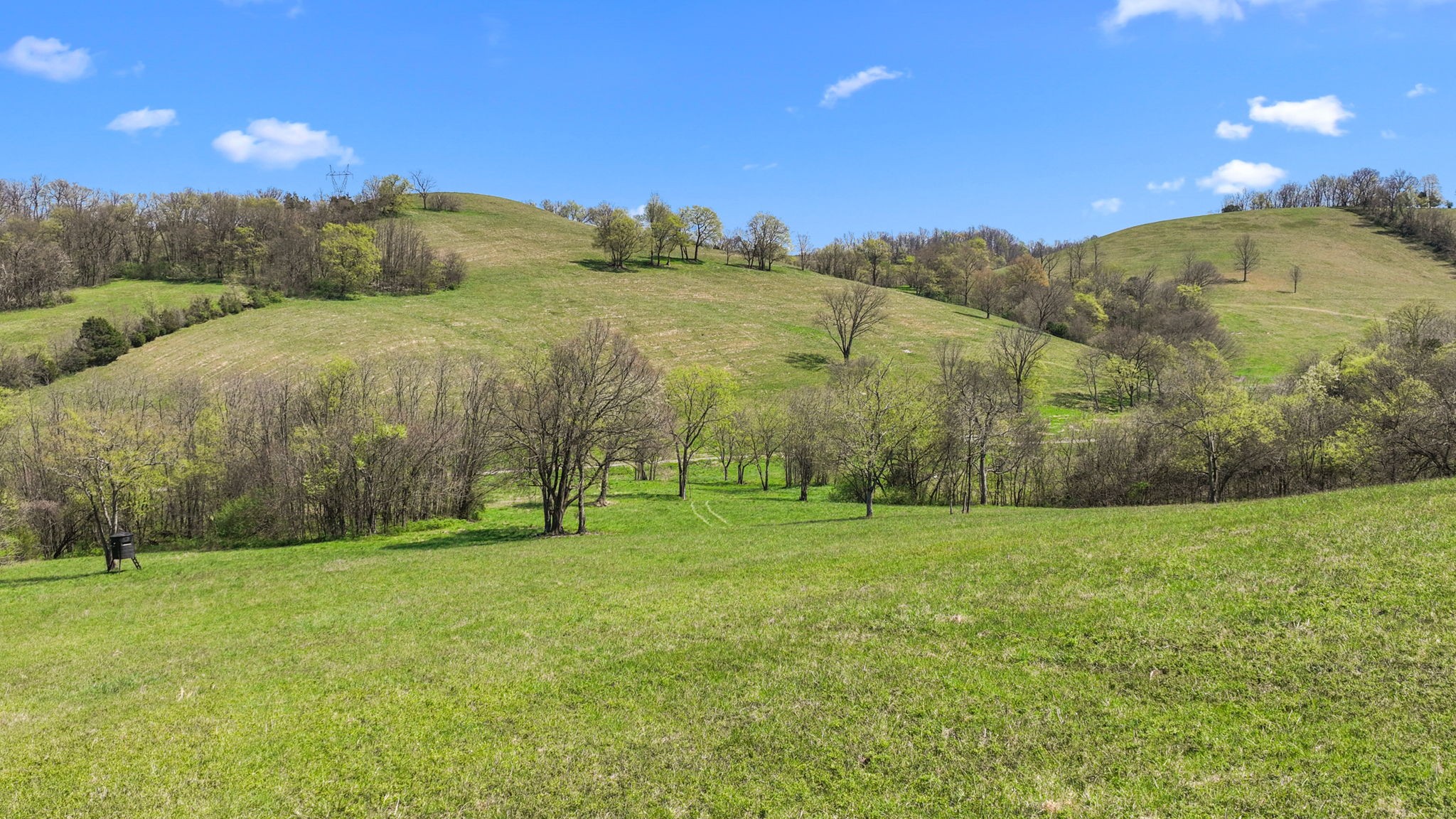 0 Mclaughlin Road Shelbyville TN 37160