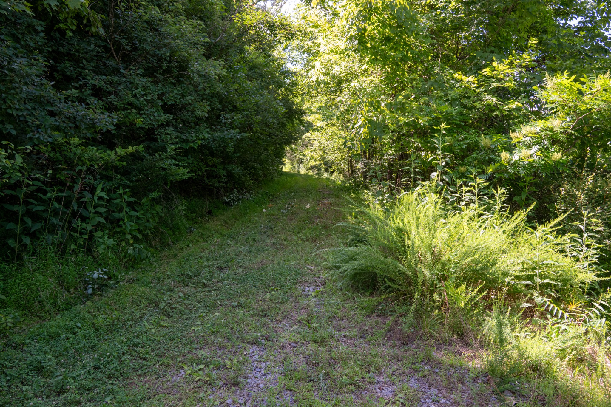 0 Hopkins Hollow Gainesboro TN 38562