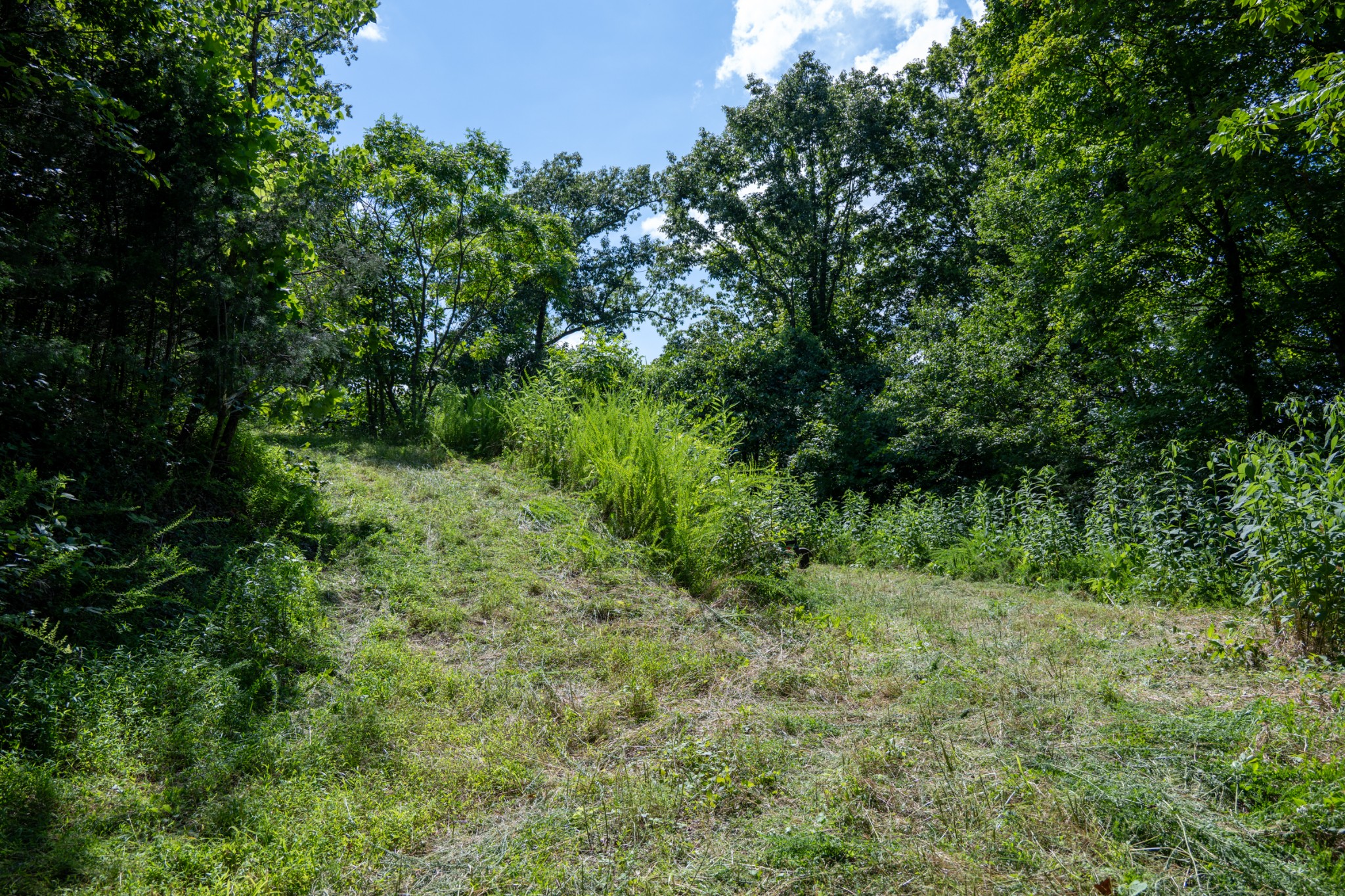 0 Hopkins Hollow Gainesboro TN 38562