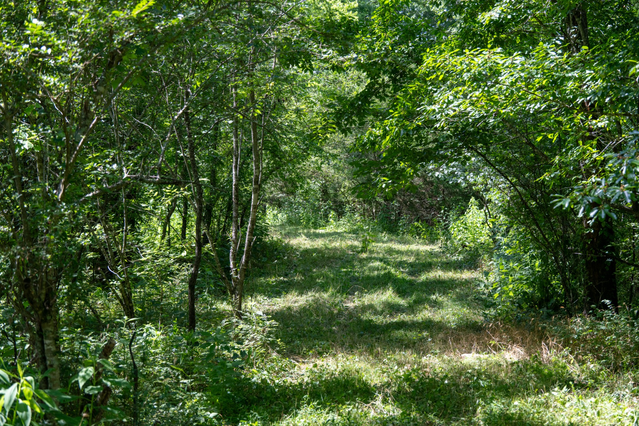 0 Hopkins Hollow Gainesboro TN 38562