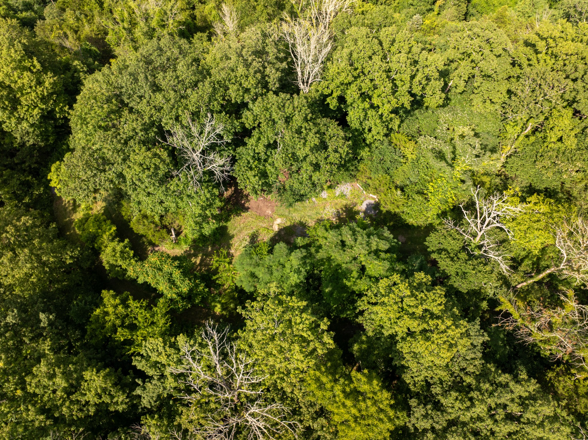 0 Hopkins Hollow Gainesboro TN 38562