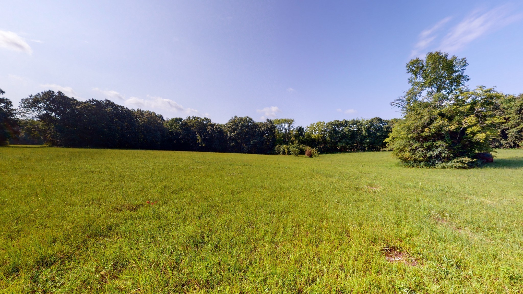 14170 Central Pike Mount Juliet TN 37122