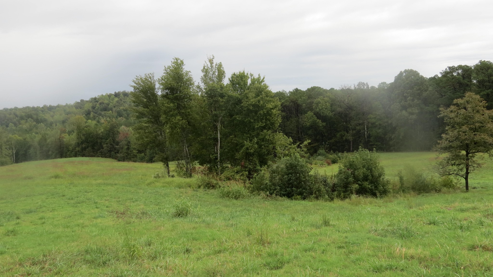562 Roach Road Decaturville TN 38329