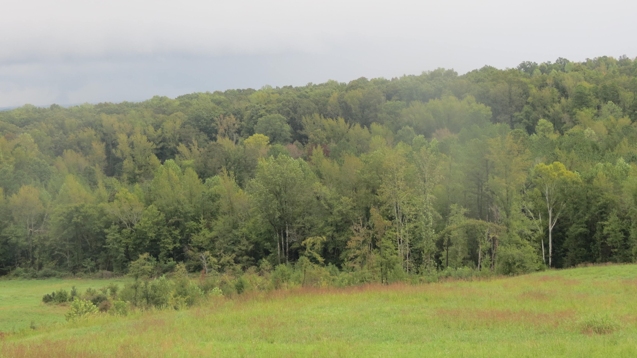 562 Roach Road Decaturville TN 38329
