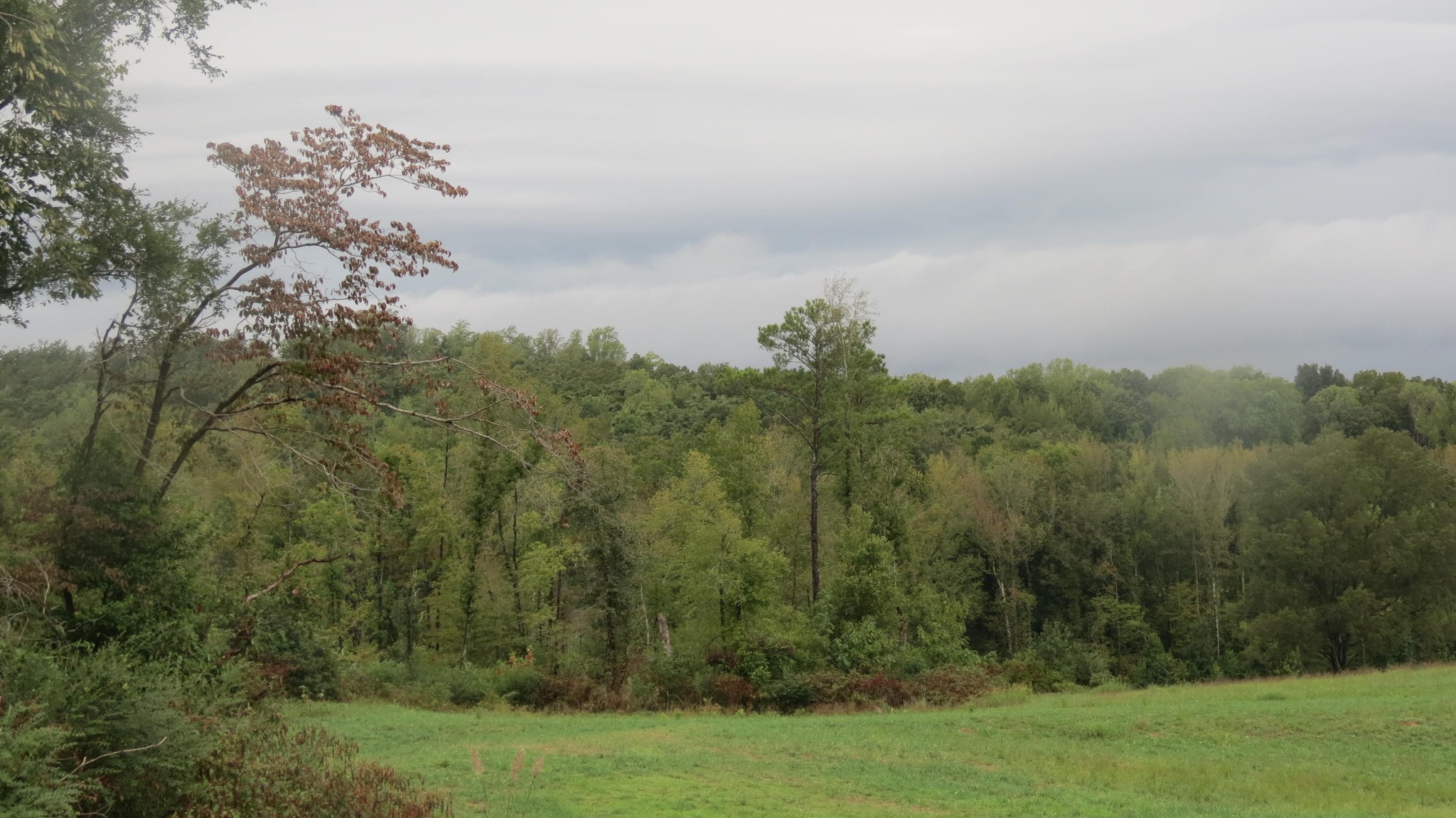 562 Roach Road Decaturville TN 38329