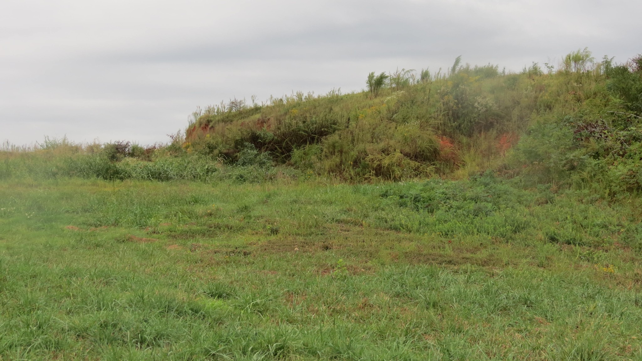 562 Roach Road Decaturville TN 38329