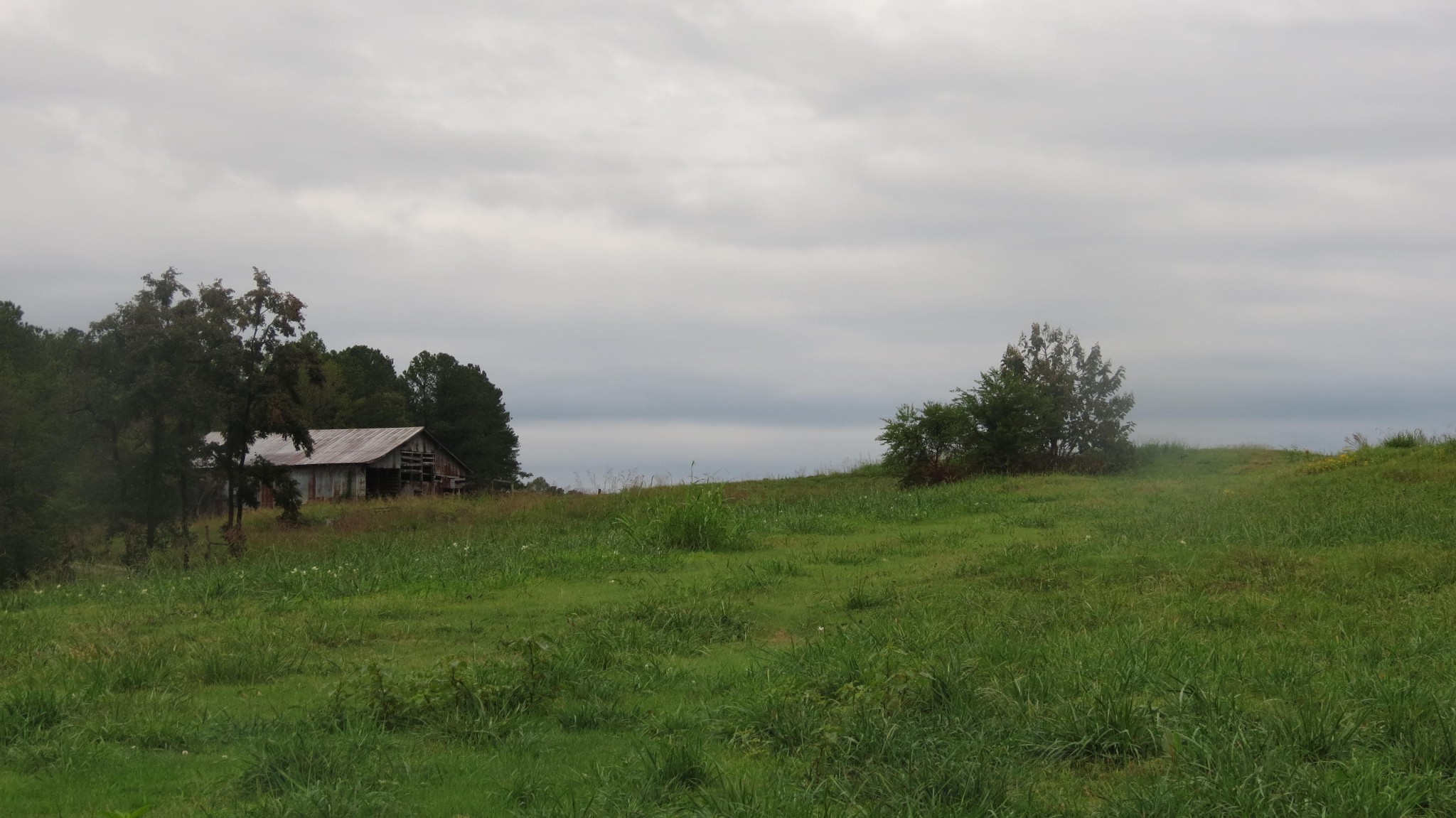 562 Roach Road Decaturville TN 38329