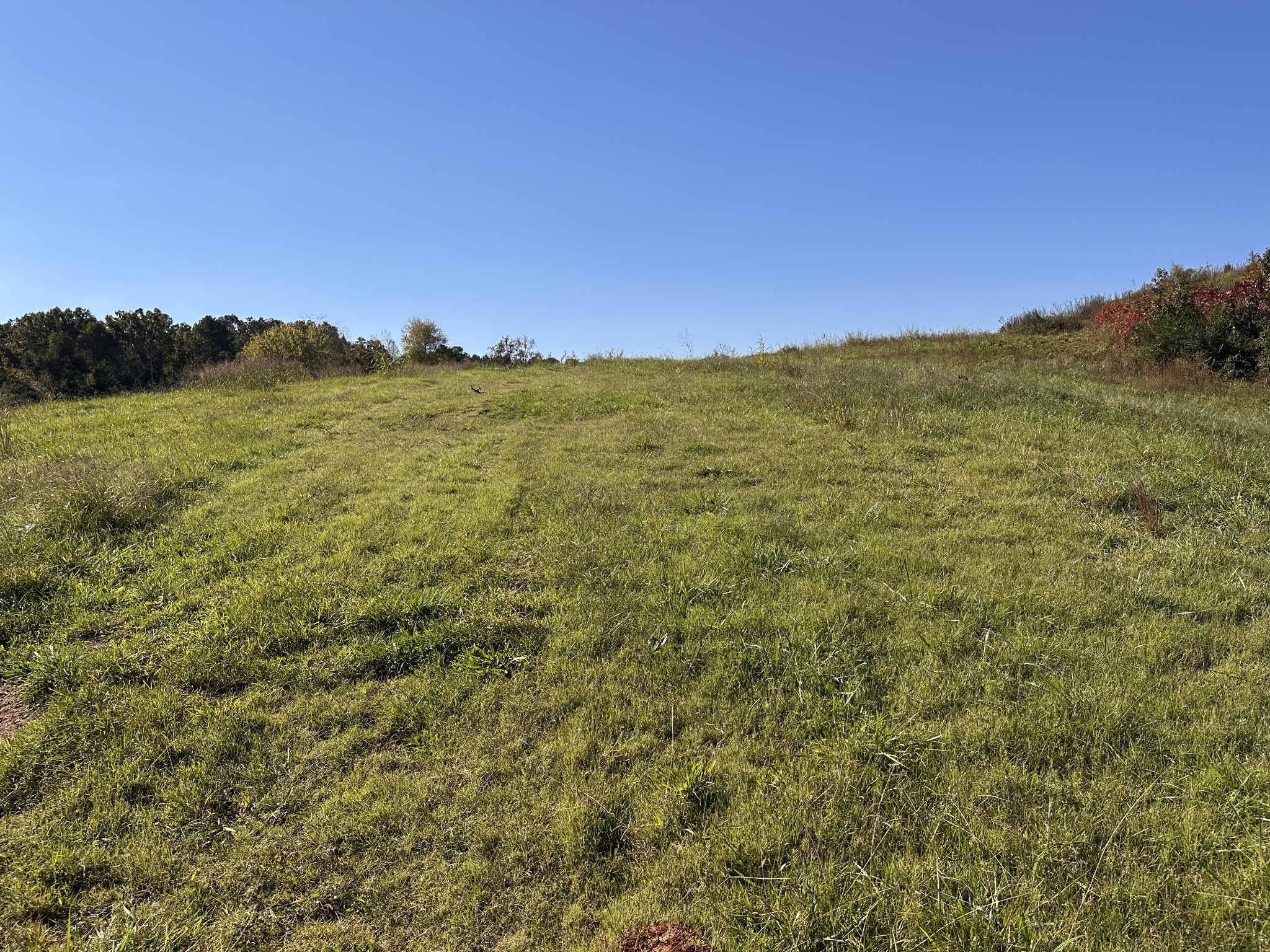 562 Roach Road Decaturville TN 38329