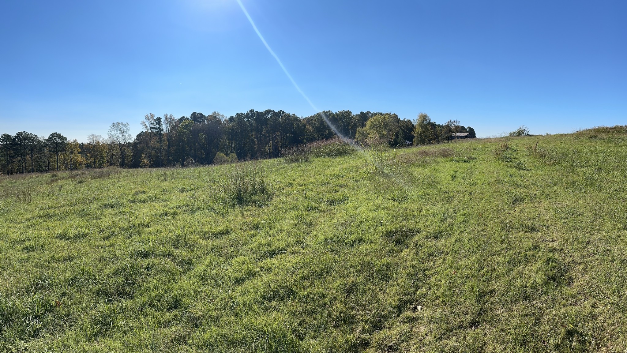 562 Roach Road Decaturville TN 38329