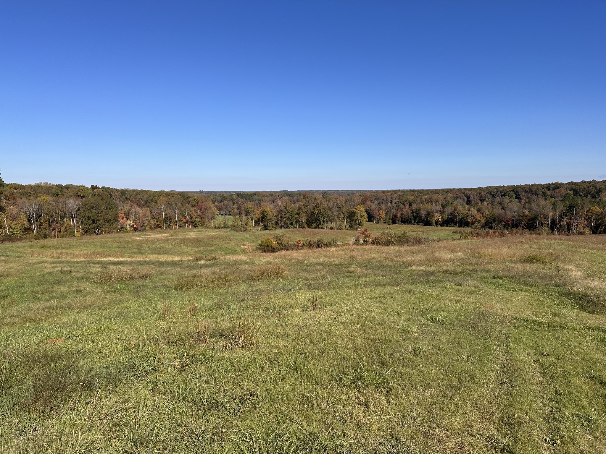 562 Roach Road Decaturville TN 38329