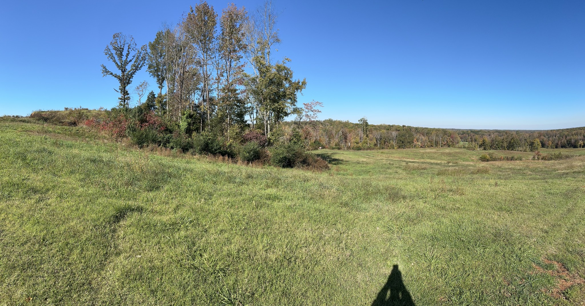 562 Roach Road Decaturville TN 38329