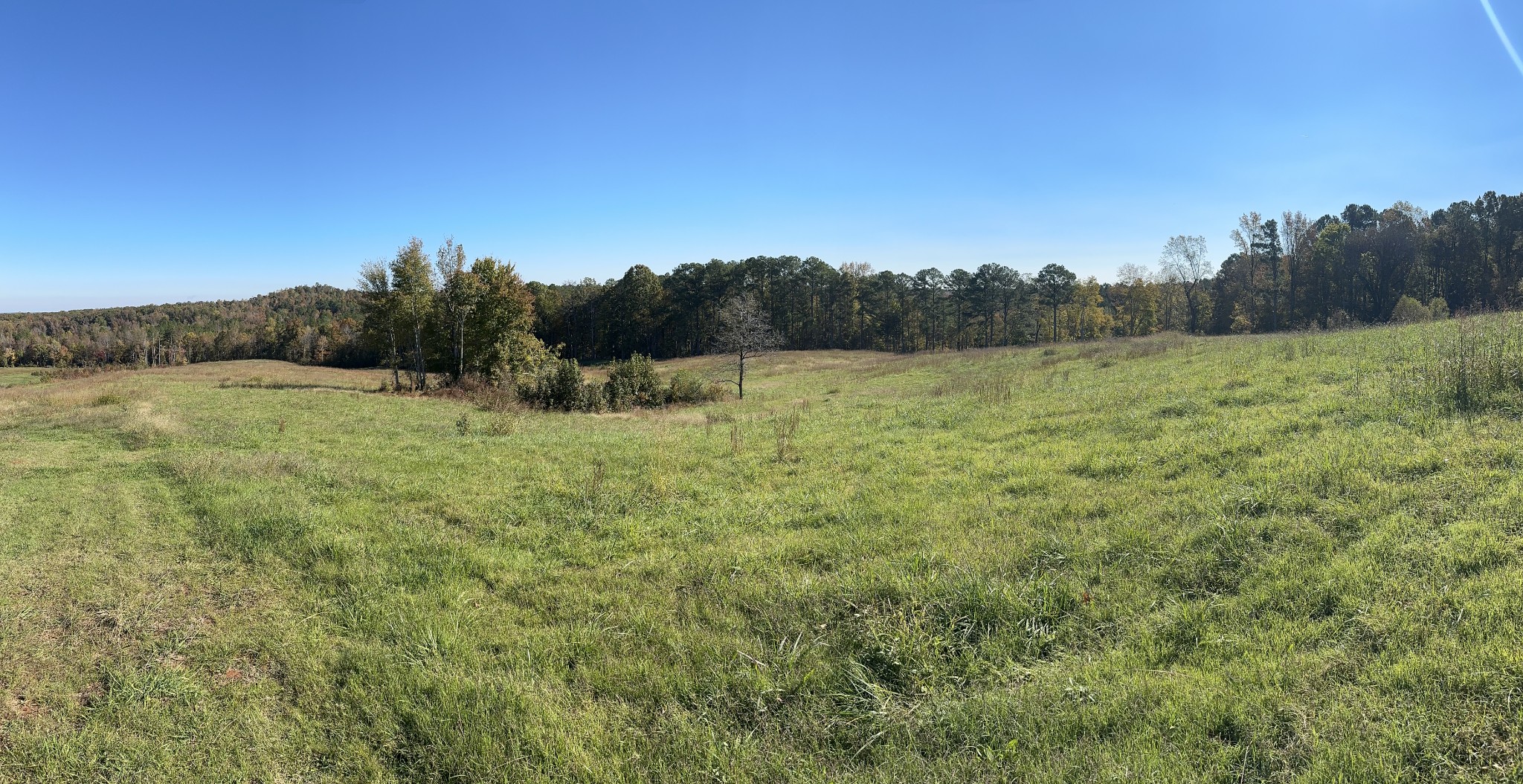 562 Roach Road Decaturville TN 38329