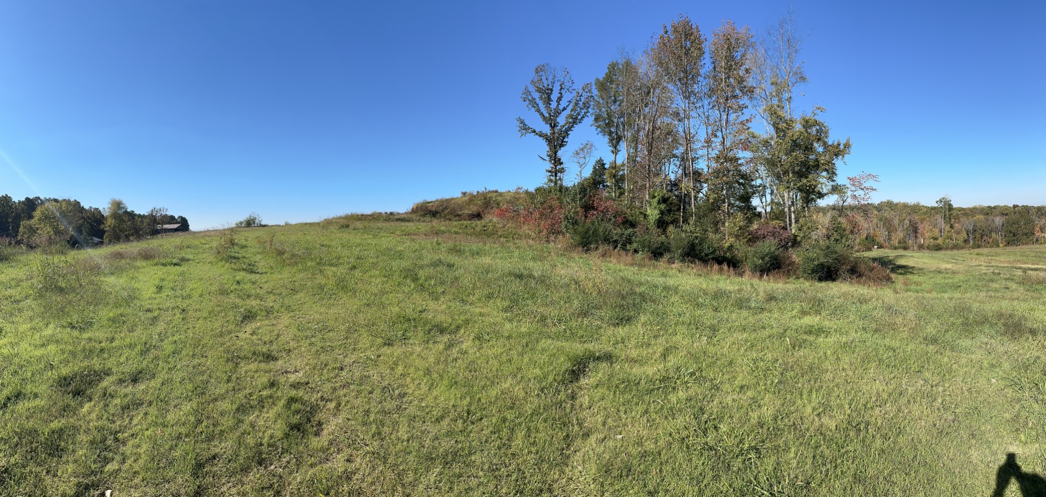 562 Roach Road Decaturville TN 38329