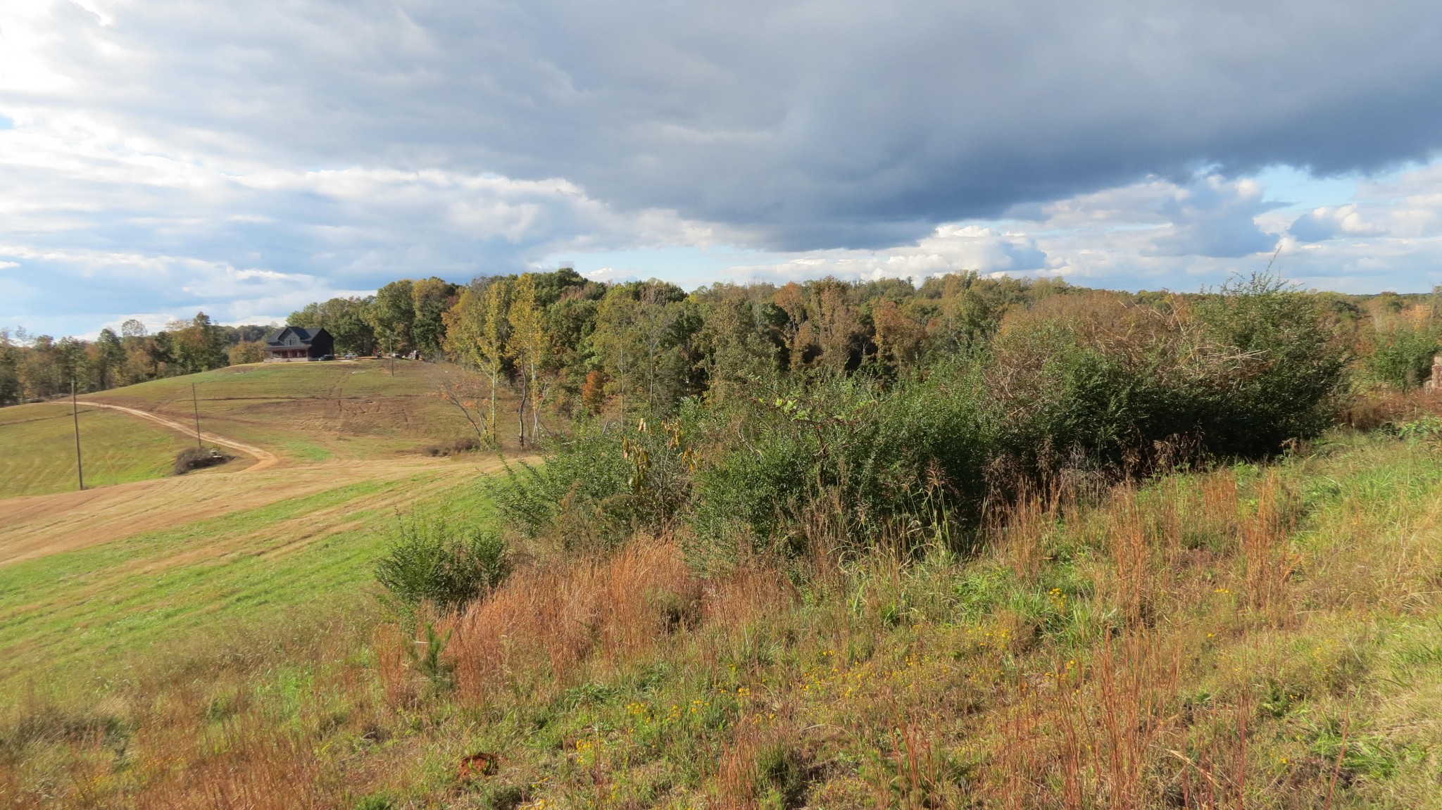 562 Roach Road Decaturville TN 38329