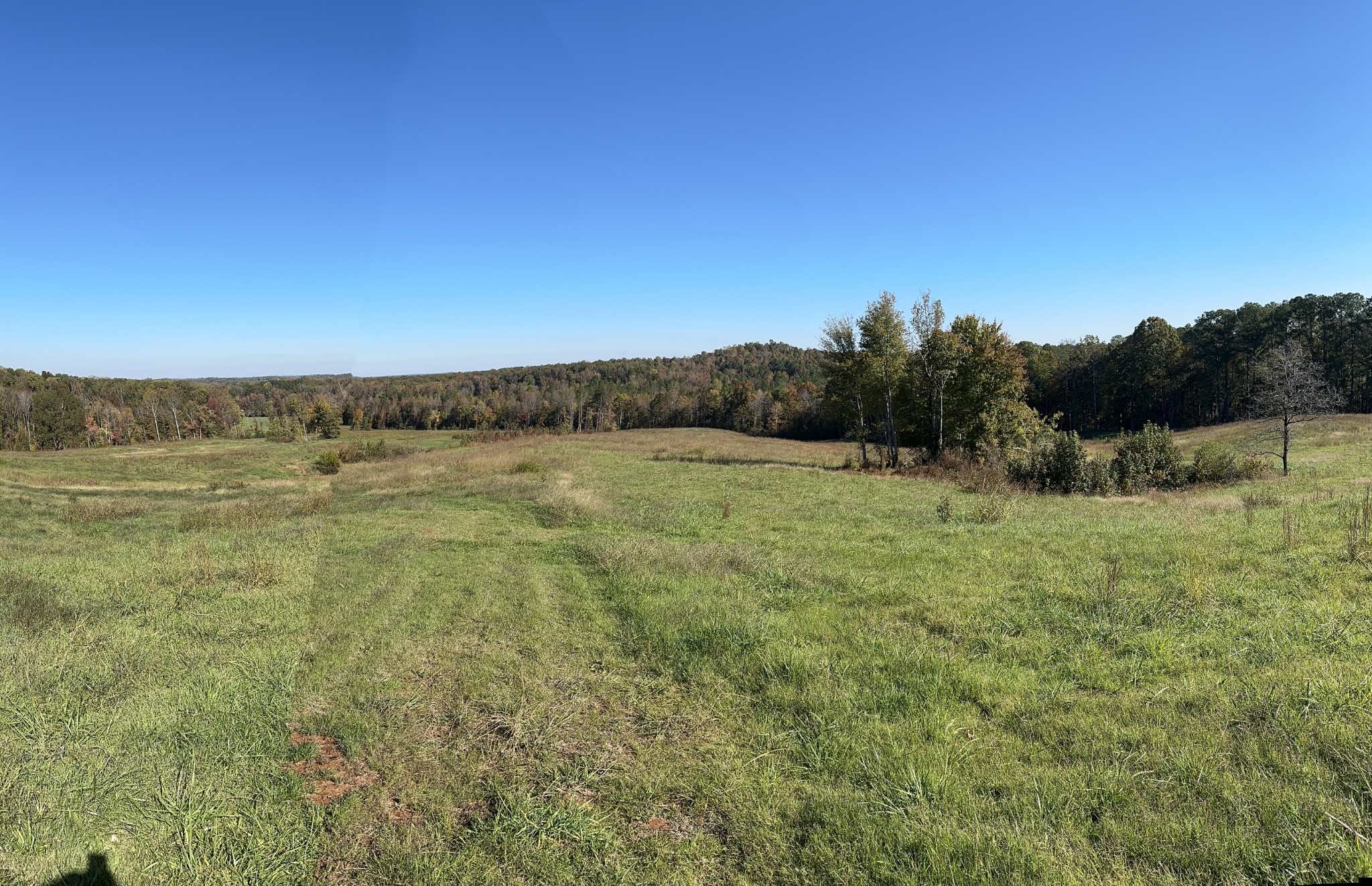 562 Roach Road Decaturville TN 38329