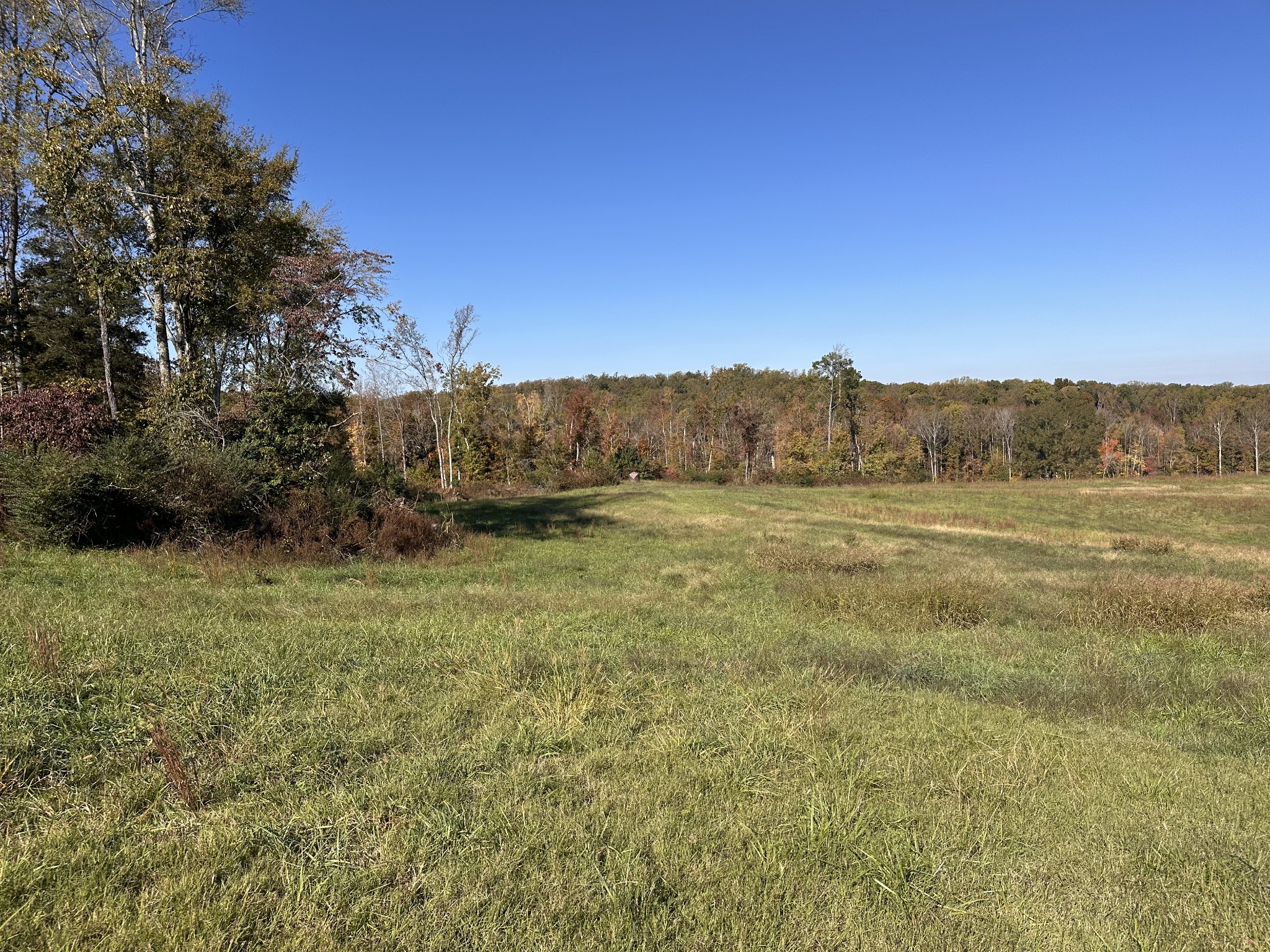 562 Roach Road Decaturville TN 38329