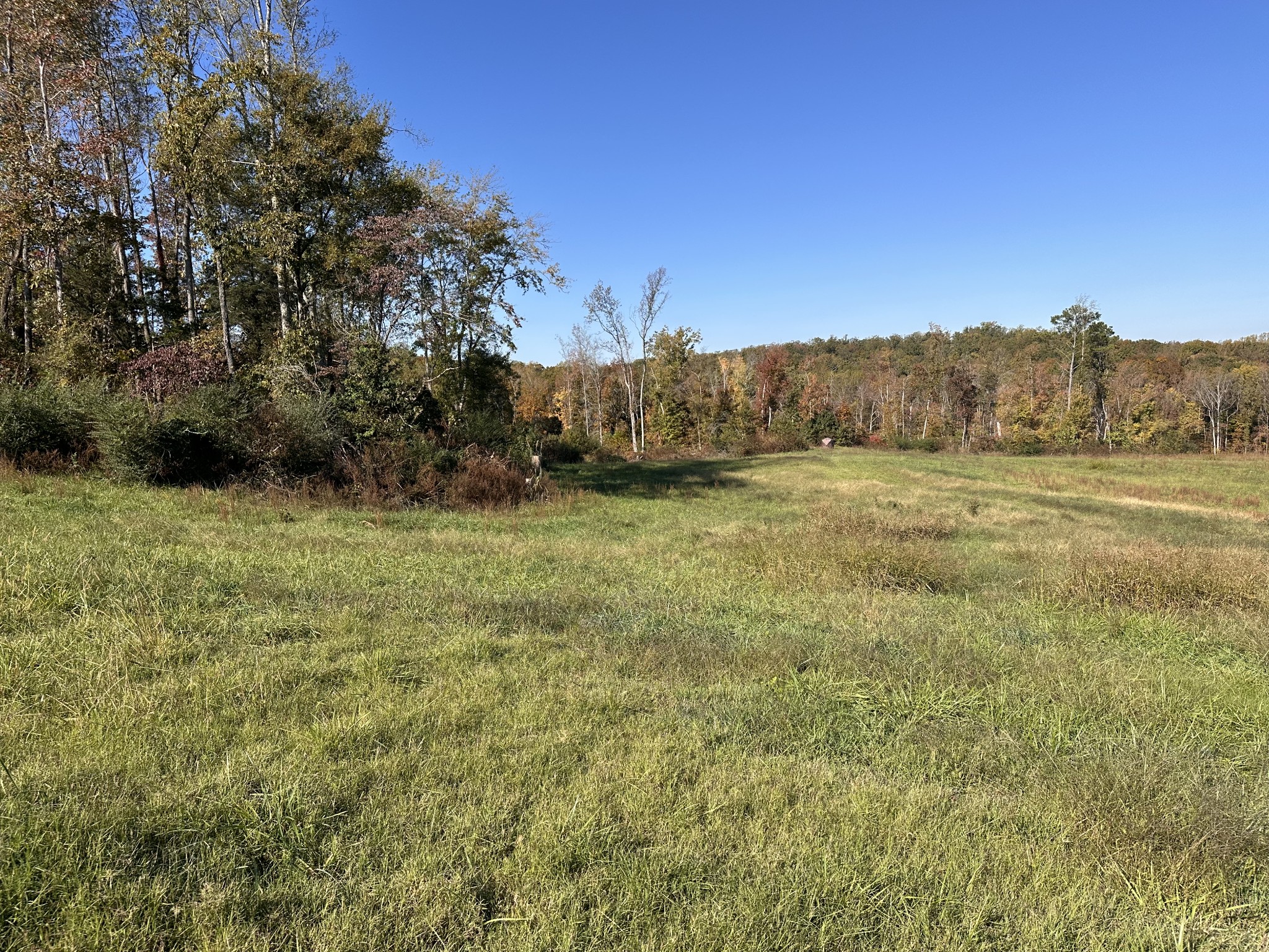 562 Roach Road Decaturville TN 38329