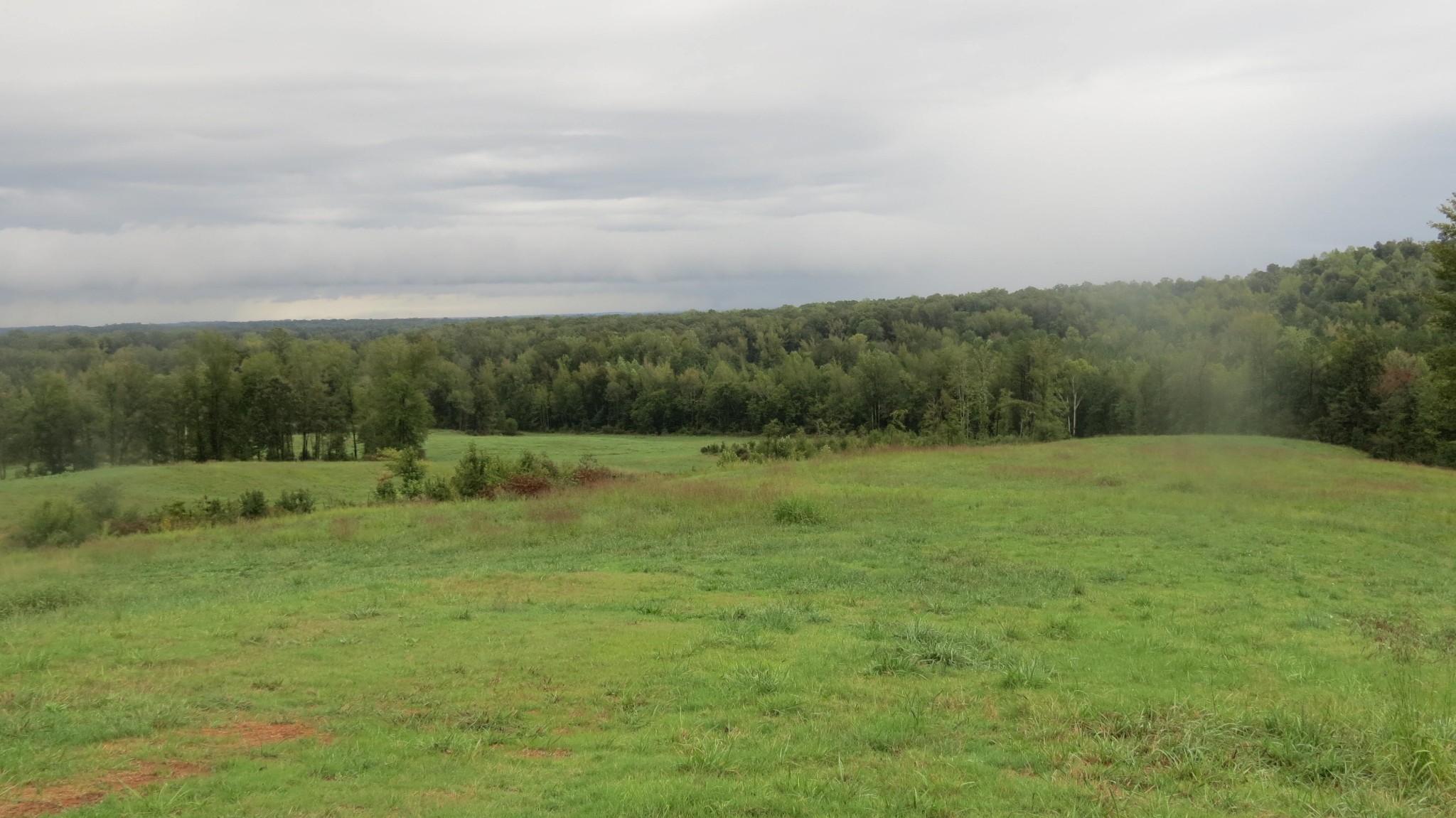 562 Roach Road Decaturville TN 38329