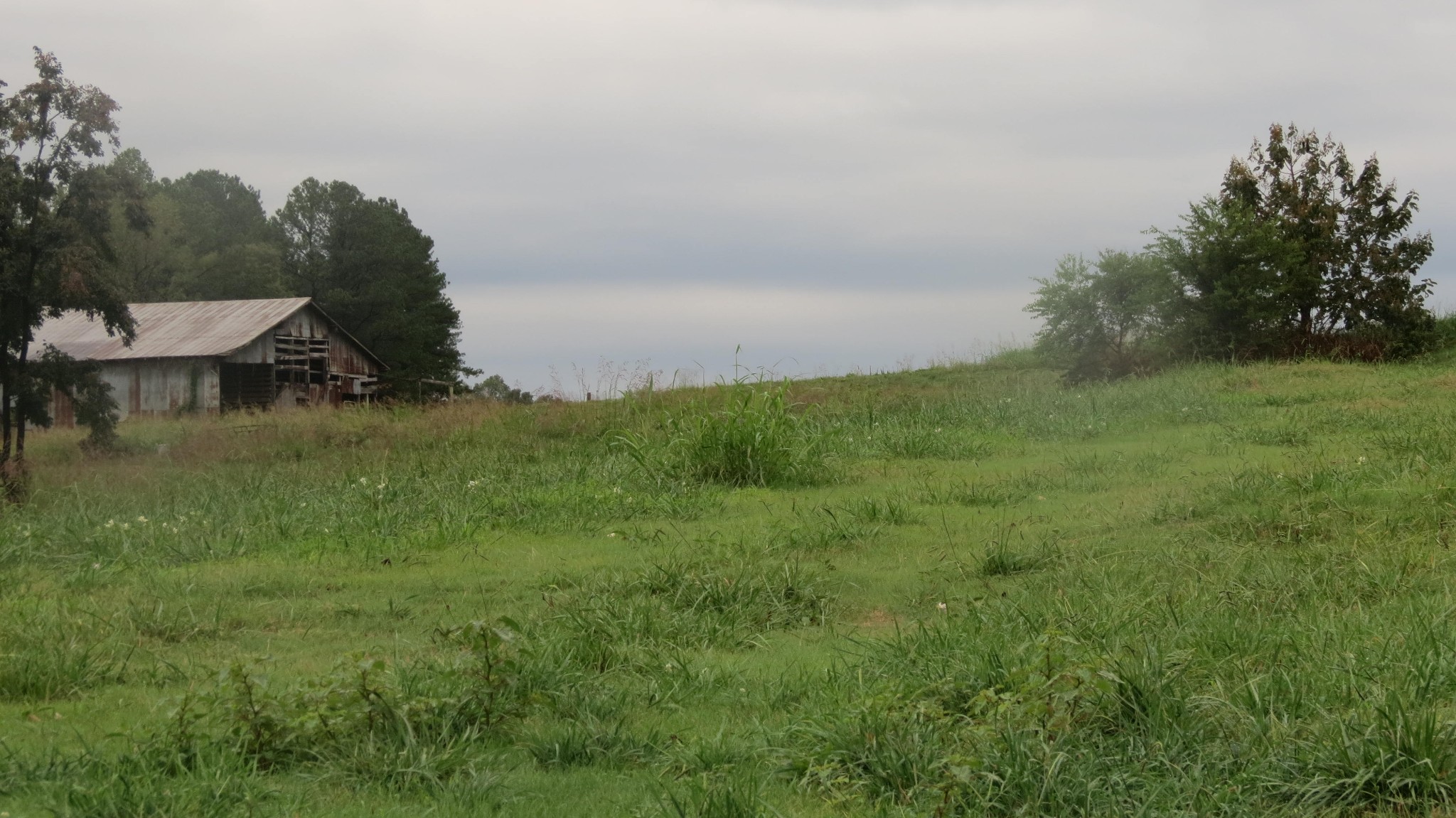 562 Roach Road Decaturville TN 38329