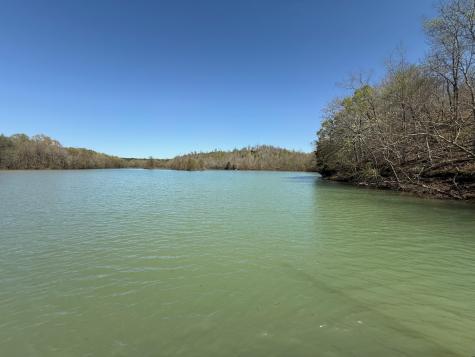 111 Portalatin Pointe Stewart TN 37175