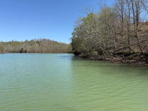 111 Portalatin Pointe Stewart TN 37175