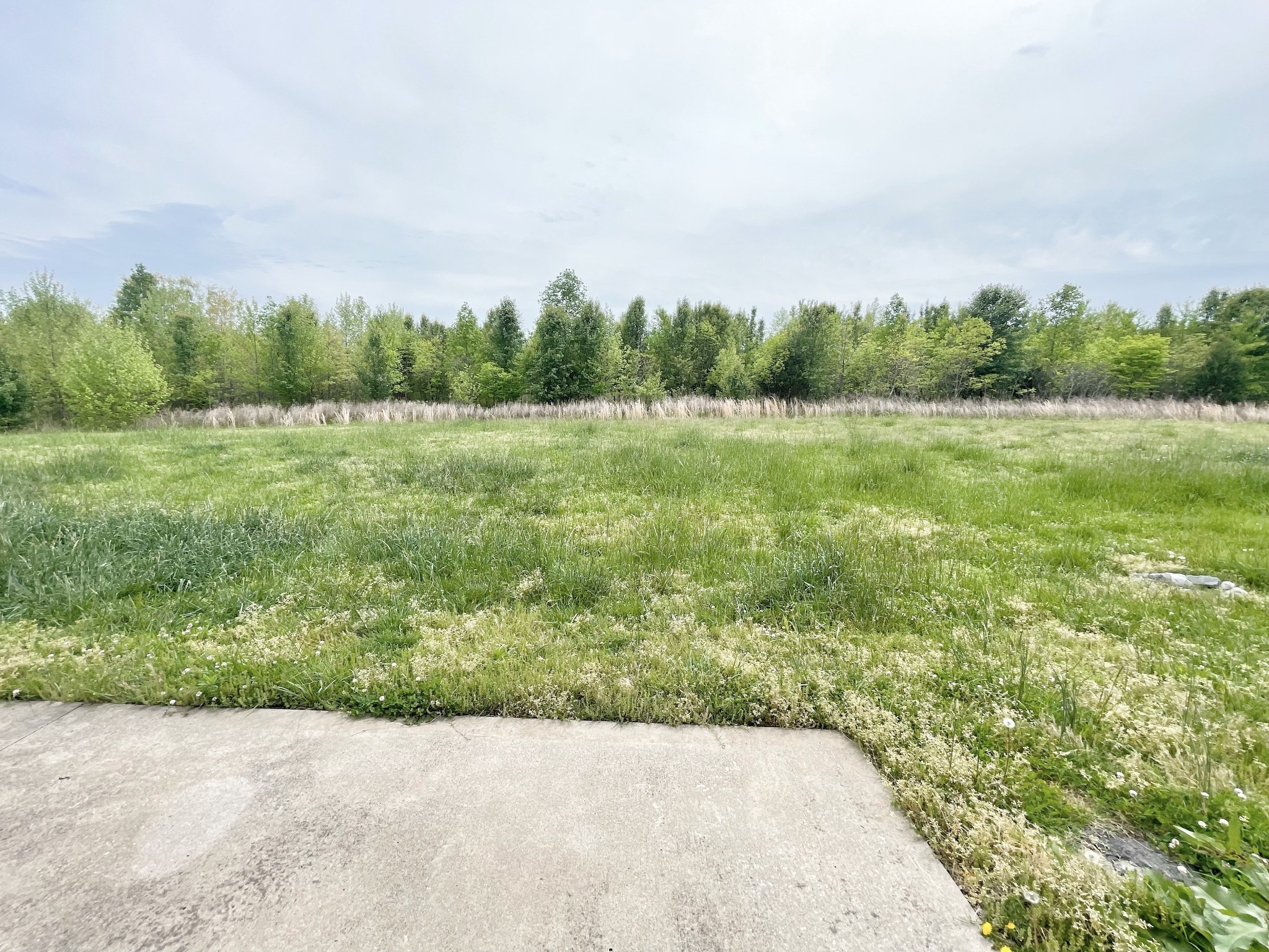 382 Mcgee Court Clarksville TN 37040