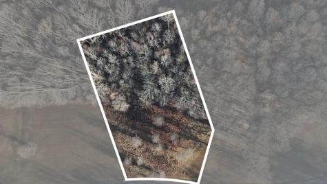 0 Caldwell Drive Estill Springs TN 37330