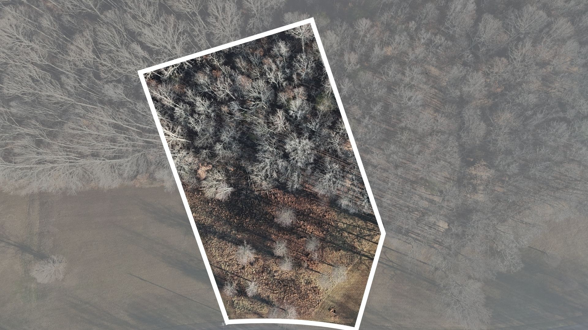 0 Caldwell Drive Estill Springs TN 37330