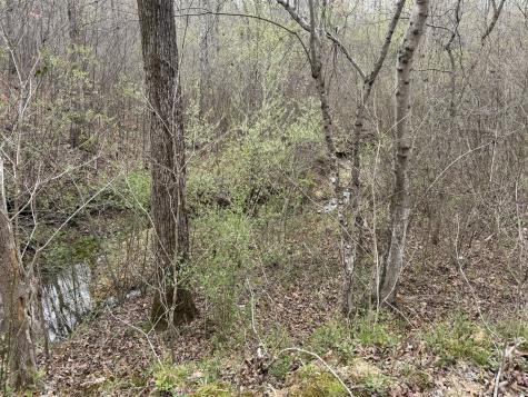 130 Trace View Drive Summertown TN 38483
