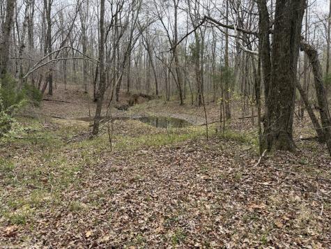 130 Trace View Drive Summertown TN 38483