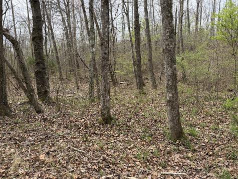 130 Trace View Drive Summertown TN 38483