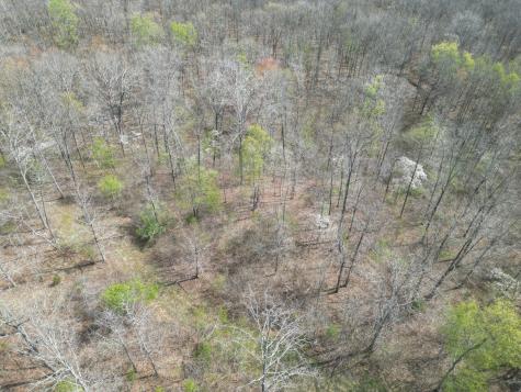 130 Trace View Drive Summertown TN 38483