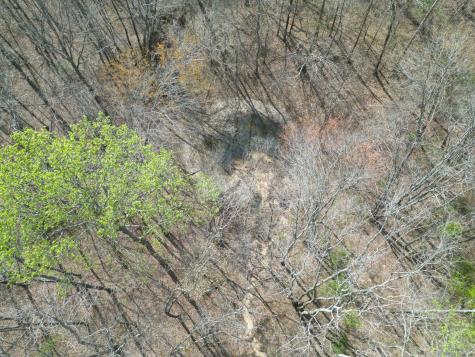 130 Trace View Drive Summertown TN 38483