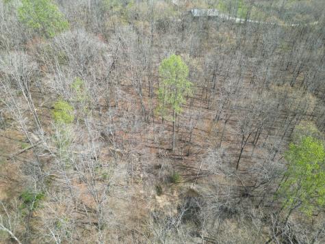 130 Trace View Drive Summertown TN 38483