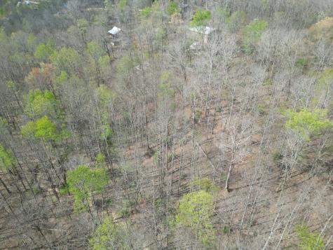 130 Trace View Drive Summertown TN 38483