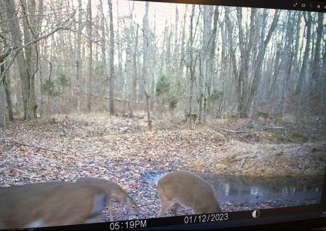 130 Trace View Drive Summertown TN 38483