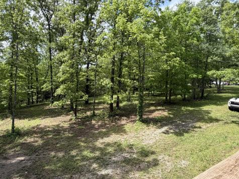130 Trace View Drive Summertown TN 38483
