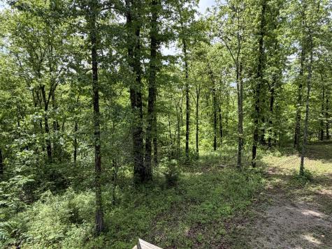 130 Trace View Drive Summertown TN 38483
