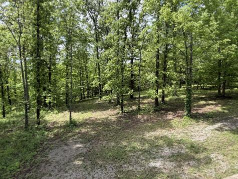 130 Trace View Drive Summertown TN 38483