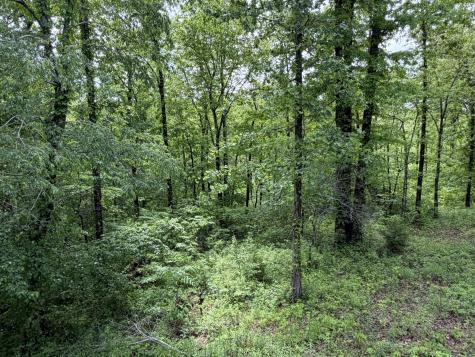 130 Trace View Drive Summertown TN 38483