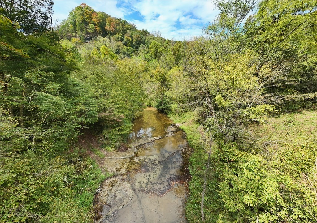 5154 Dry Mill Creek Hilham TN 38568